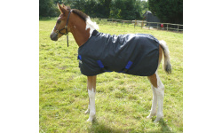 1_foal_rugs