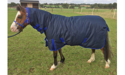 drclcomh_bella_1024x699