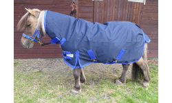 drclcoml_dink1_1024x730