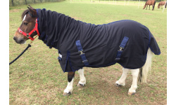 drclcoss_cupid3_1024x685