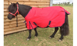 drclsmau_red_lucy_1024x682