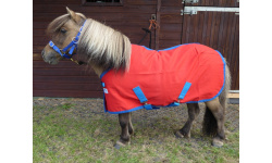 drcustss_red_1024x805