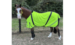 hi_viz_sheet2rs_2107592033