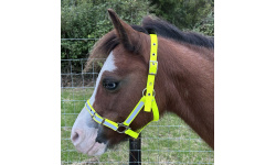 high_vis_headcollar1xrs