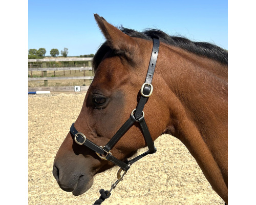 dlstdlhc1_rosxrs_389972835