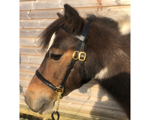 dlygshsl_new_cupid2_crrs