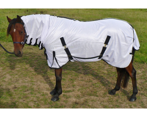 drclanms_50_ross_1024x701