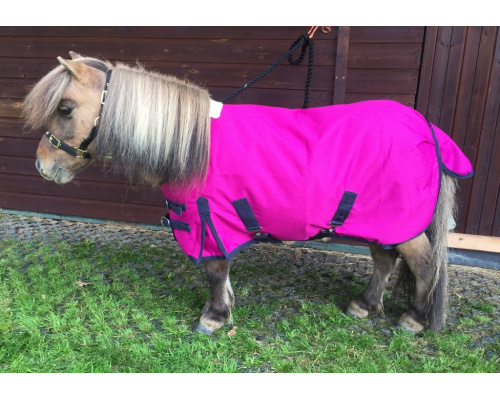 drclslod_rasp1024x711_308183948