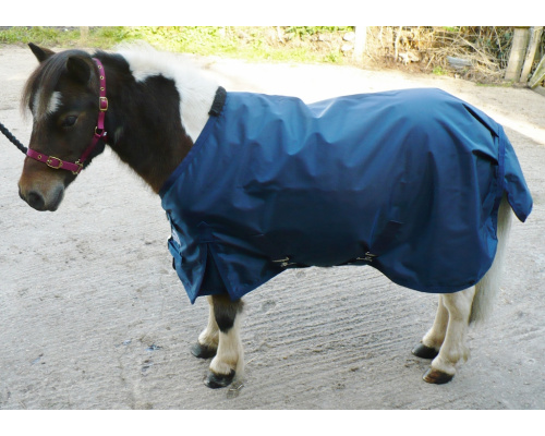 drclsmsu_navy_1024x721