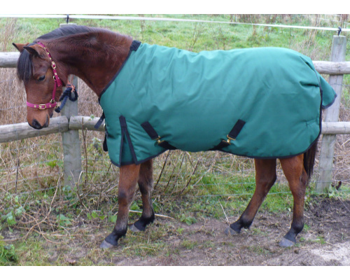 drclxdhy_rossi_1328951551