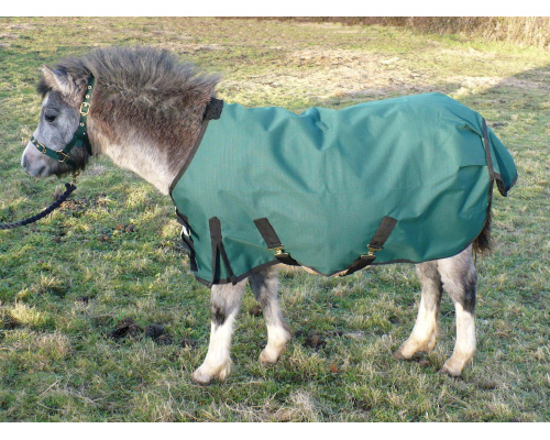 drclxdlw_foal