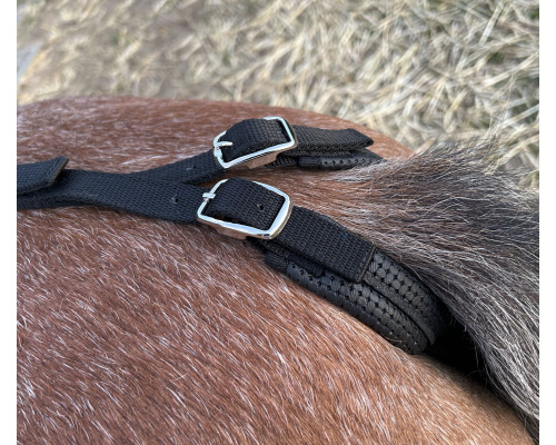 dsacrusa_2rs