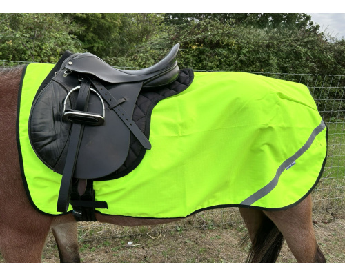high_viz_pro_ex_sheet_std1xrs