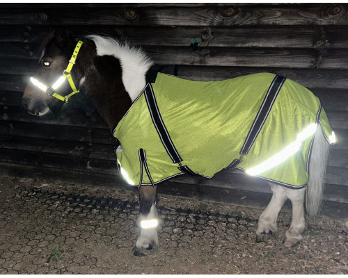 highviz1xrs_571822041
