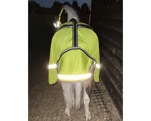 highviz2cr_390567046