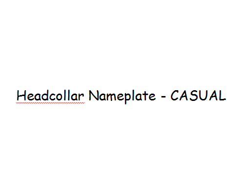 nameplate_font_casual