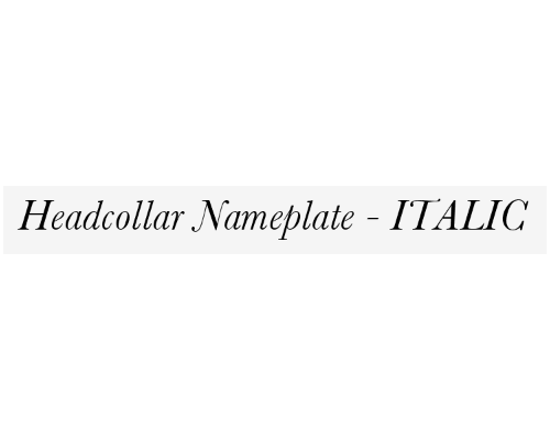 nameplate_font_italic