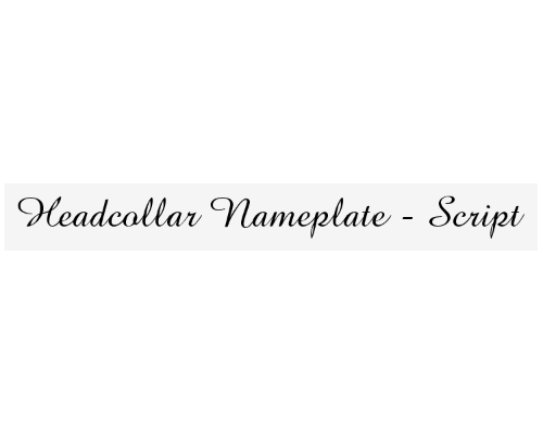 nameplate_font_script_729069385