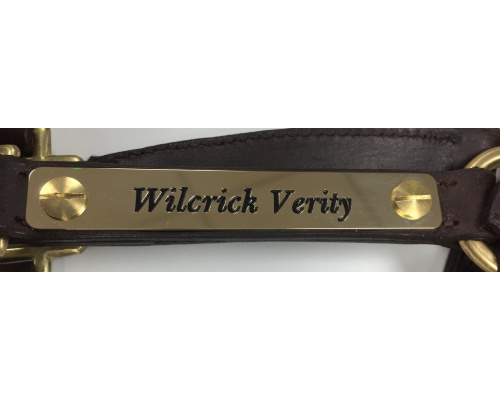 nameplate_po2_1024x295