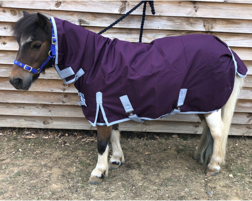 plum_combo_cupid1_rs